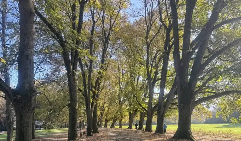 Herbstlicher Spaziergang in der Lichtentaler Allee Baden-Baden – Sehenswürdigkeiten im Schwarzwald