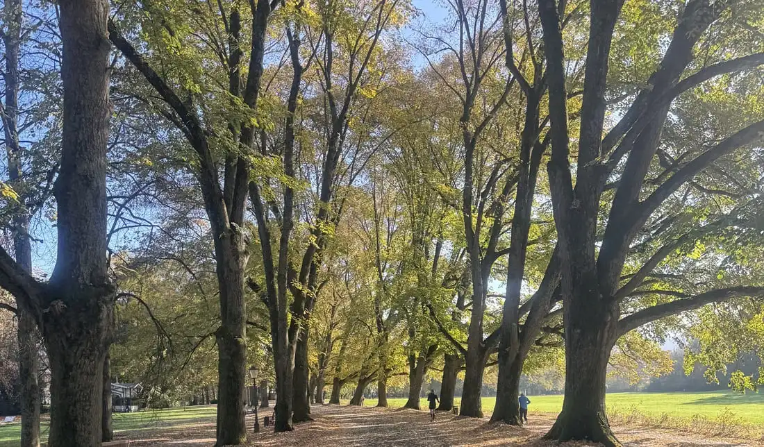 Herbstlicher Spaziergang in der Lichtentaler Allee Baden-Baden – Sehenswürdigkeiten im Schwarzwald