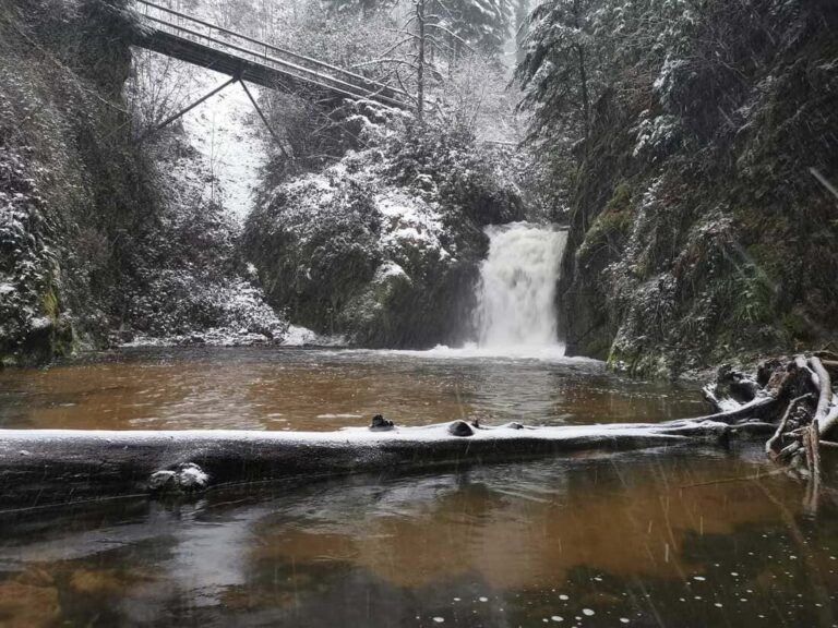 Geroldsauer Wasserfälle im Winter 2026.