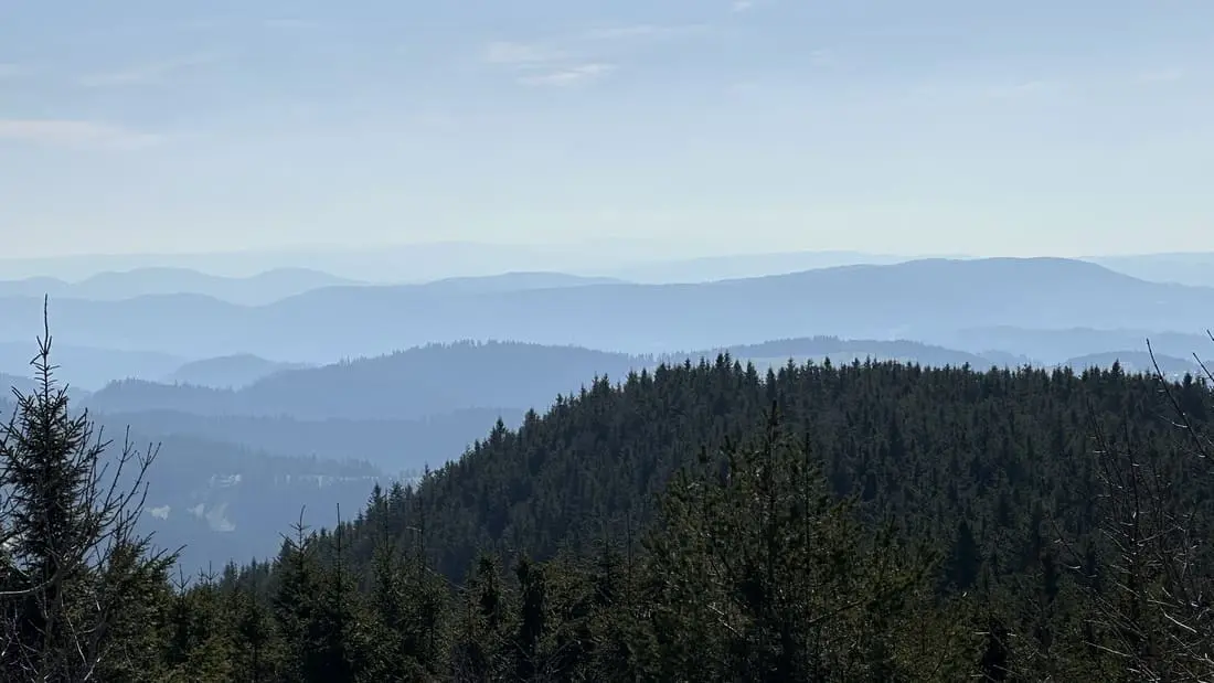 Panoramablick von der Hornisgrinde über die bläulich geschichteten Bergrücken des Nordschwarzwalds im März 2026